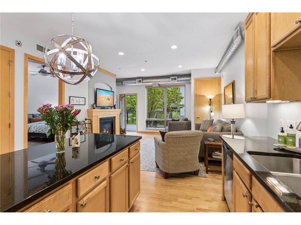 240 Spring Street #203 Saint Paul MN 55102 - Mississippi 7077865 image1