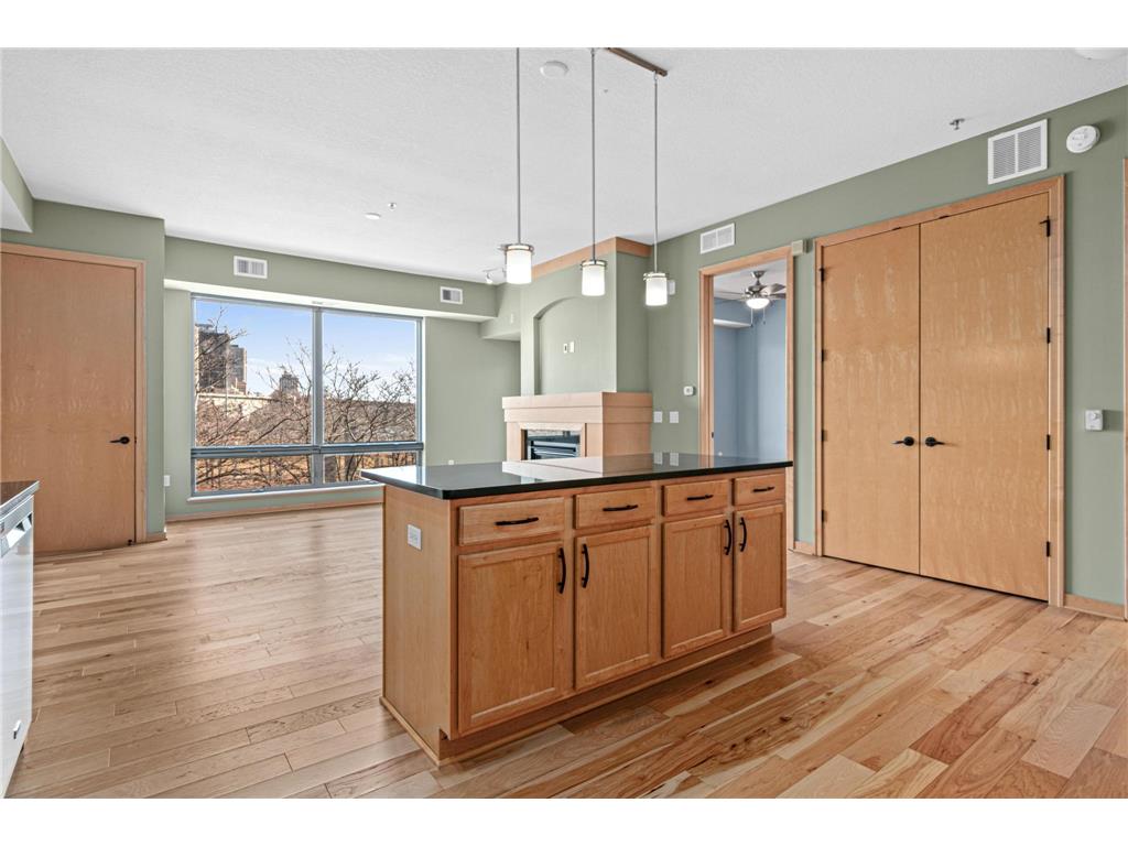 240 Spring Street #226 Saint Paul MN 55102 7031908 image13