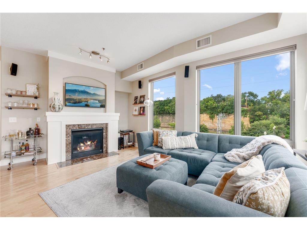 240 Spring Street #302 Saint Paul MN 55102 6778935 image1