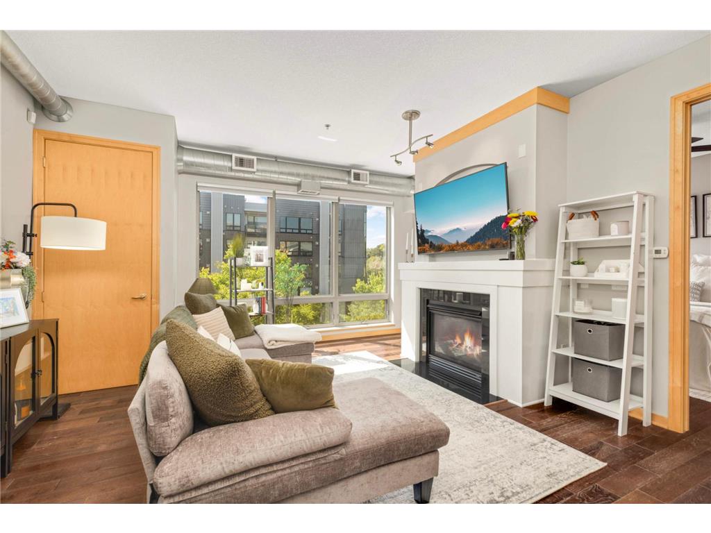 240 Spring Street #303 Saint Paul MN 55102 - Mississippi 6792293 image1