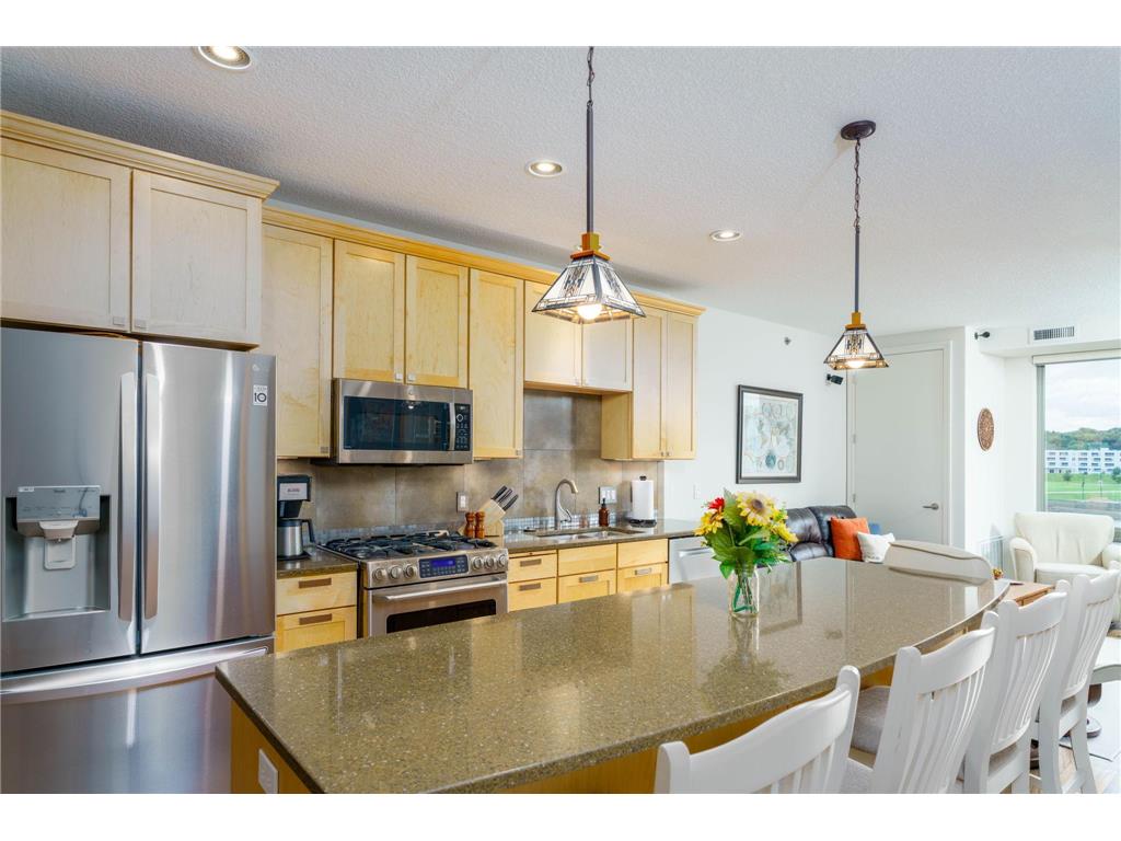 240 Spring Street #325 Saint Paul MN 55102 7063461 image7