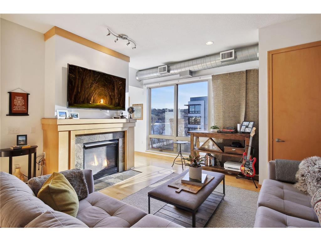 240 Spring Street #409 Saint Paul MN 55102 - Mississippi 6333810 image1