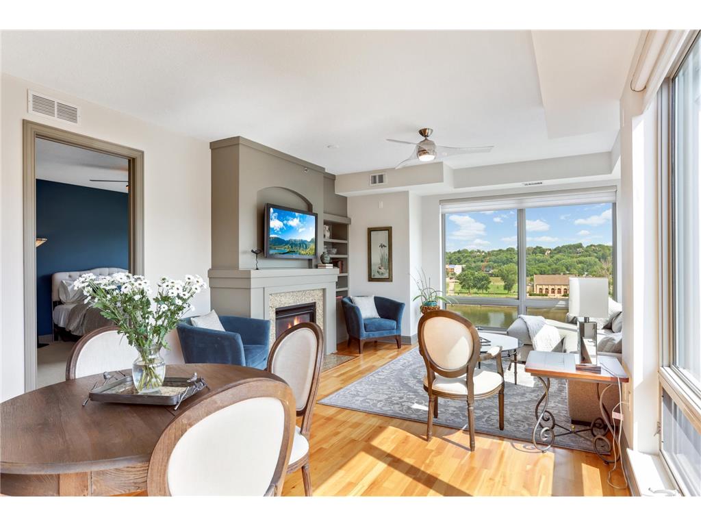 240 Spring Street #510 Saint Paul MN 55102 - Mississippi 6819952 image15