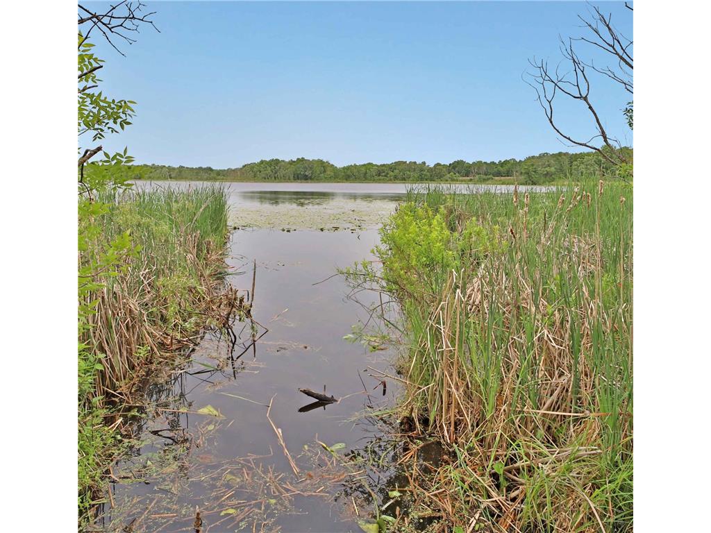 24005 County Road 111 Aitkin MN 56431 - Rushmeyer 7022011 image40