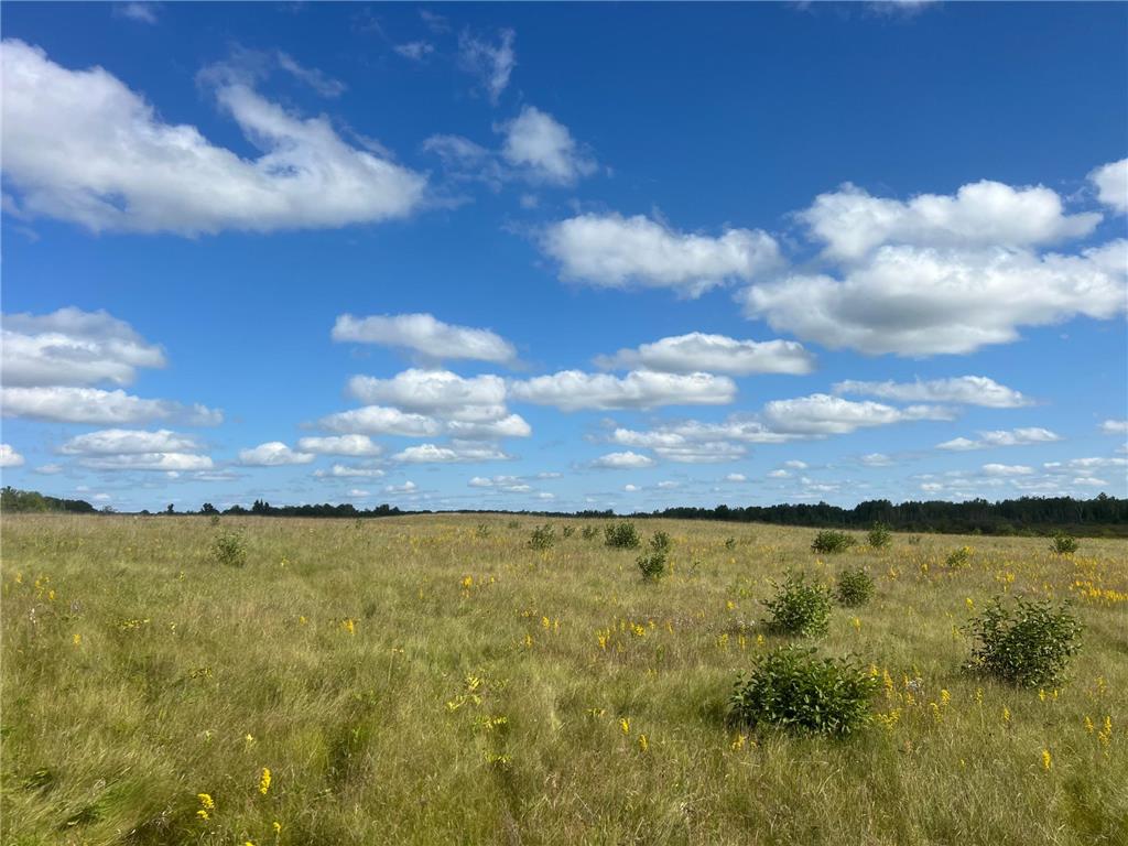 24007 Kestrel Avenue Mcgrath MN 56350 6778802 image12