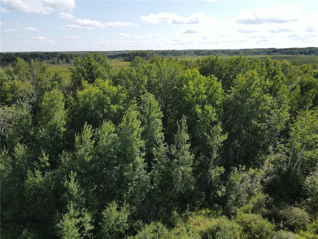 24007 Kestrel Avenue Mcgrath MN 56350 6778802 image20