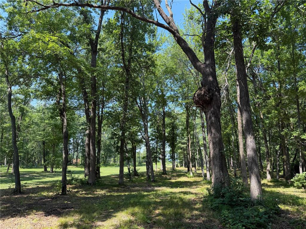 24015 Fork Lane Lake Edward Twp MN 56465 - Edward 7106267 image46