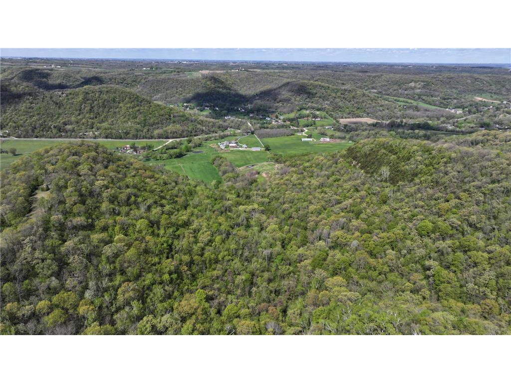 24020 CTY RD 17 Homer Twp MN 55987 - Pleasant Valley Creek 7069381 image114