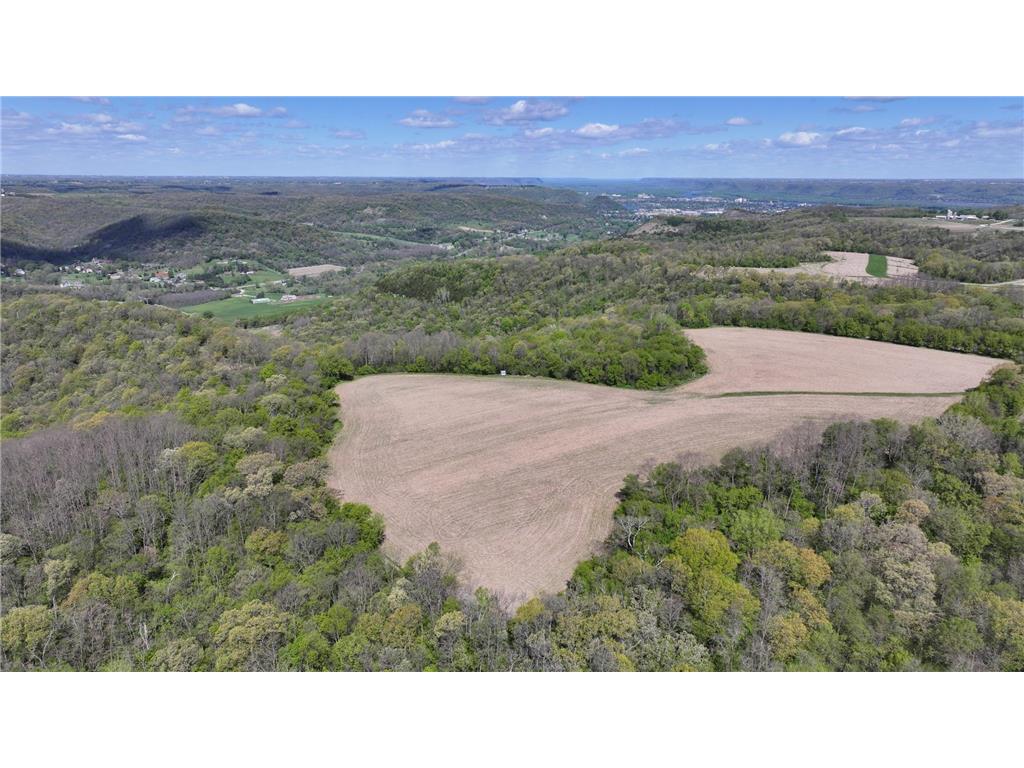24020 CTY RD 17 Homer Twp MN 55987 - Pleasant Valley Creek 7069381 image115
