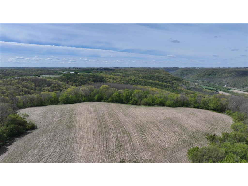 24020 CTY RD 17 Homer Twp MN 55987 - Pleasant Valley Creek 7069381 image117
