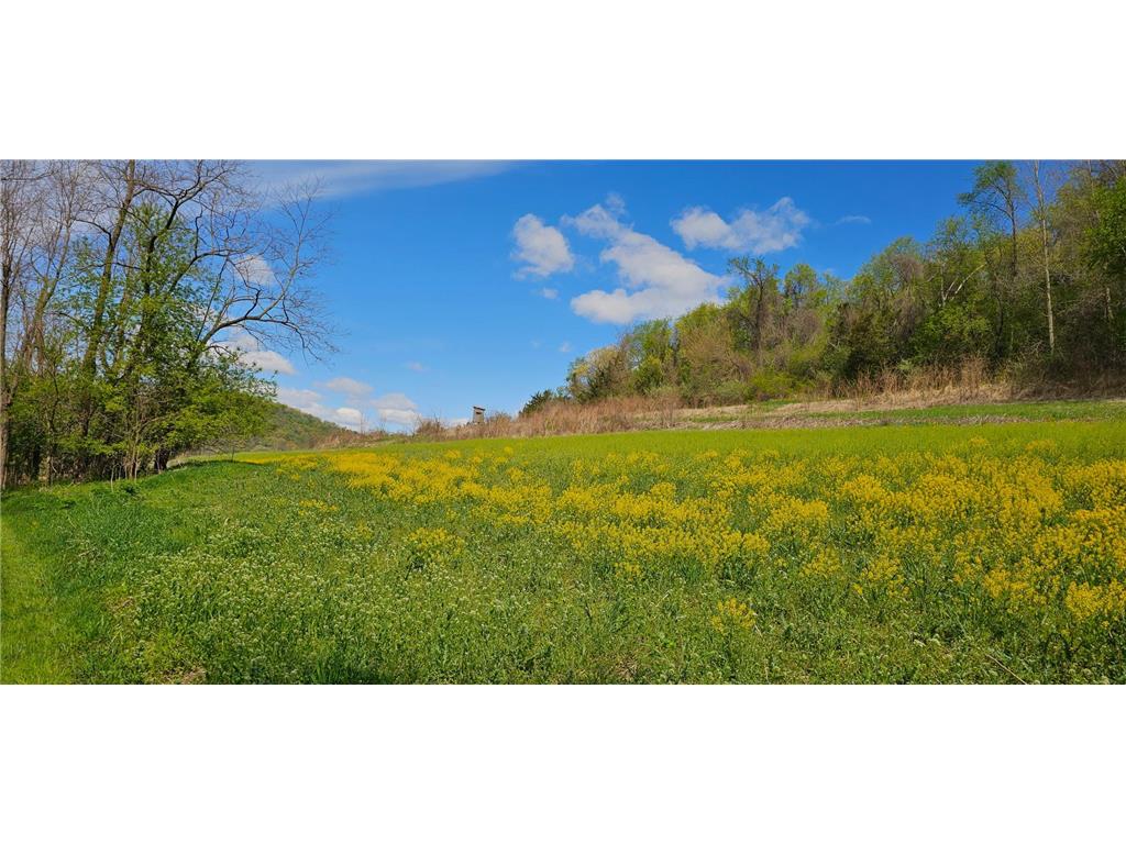 24020 CTY RD 17 Homer Twp MN 55987 - Pleasant Valley Creek 7069381 image119