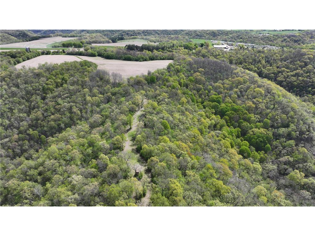 24020 CTY RD 17 Homer Twp MN 55987 - Pleasant Valley Creek 7069381 image122
