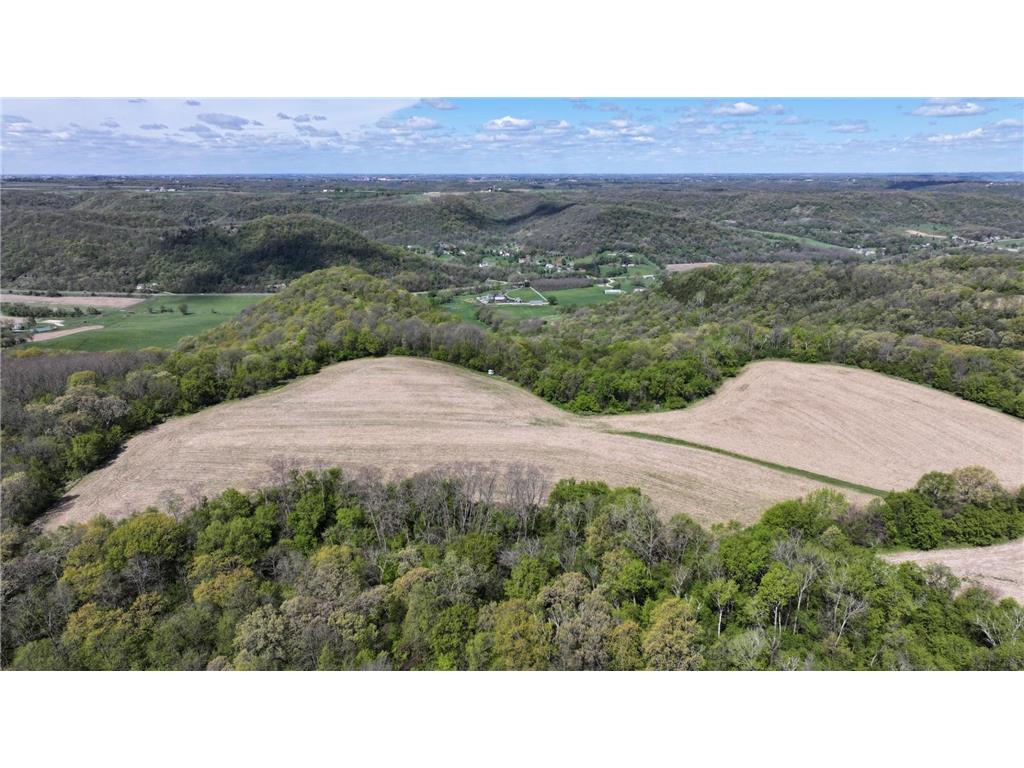 24020 CTY RD 17 Homer Twp MN 55987 - Pleasant Valley Creek 7069381 image134
