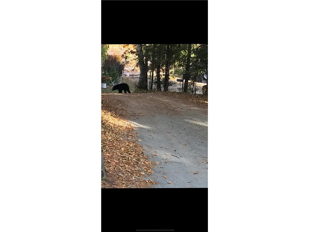 2404 Lodge Road NE Bemidji MN 56601 - Movil 7075393 image34
