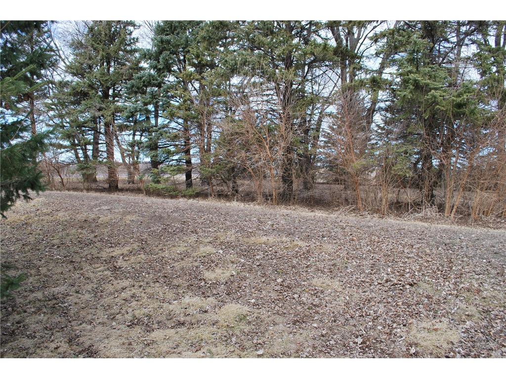 2404 State Highway 15 Westford Twp MN 56088 7011773 image50