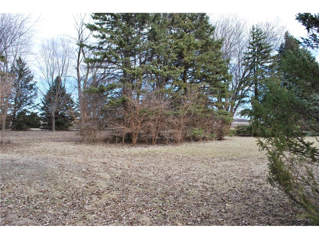 2404 State Highway 15 Westford Twp MN 56088 7011773 image51