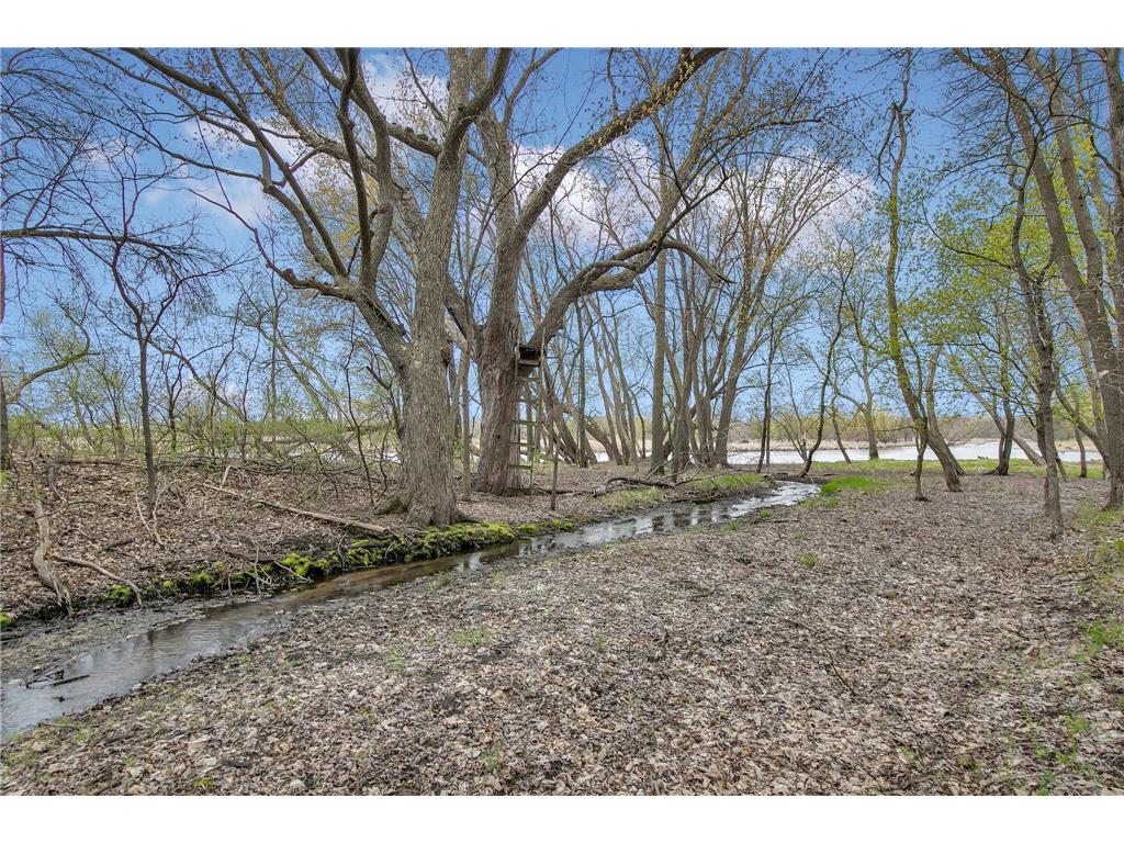 24047 County Road 23 Richmond MN 56368 - Sauk River 7067184 image47