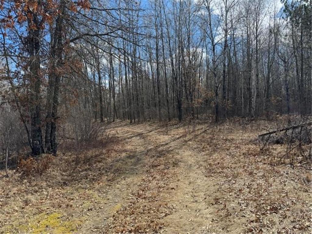 24051 324th Street Sebeka MN 56477 - Crow Wing River 6520058 image16