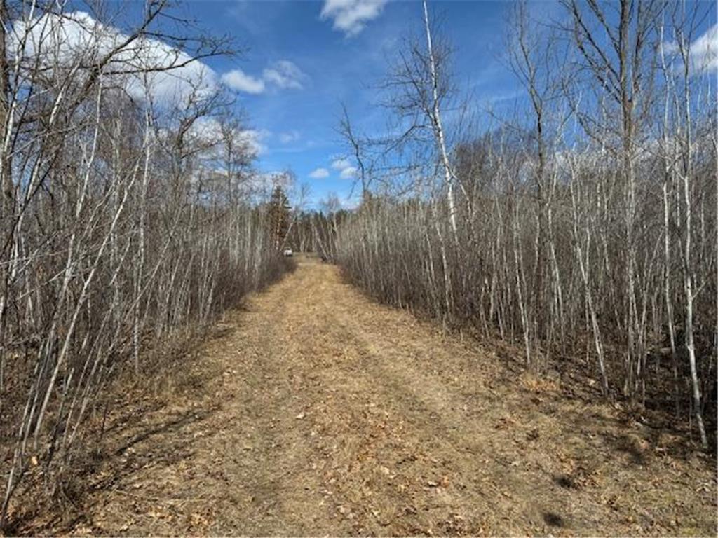 24051 324th Street Sebeka MN 56477 - Crow Wing River 6520058 image17