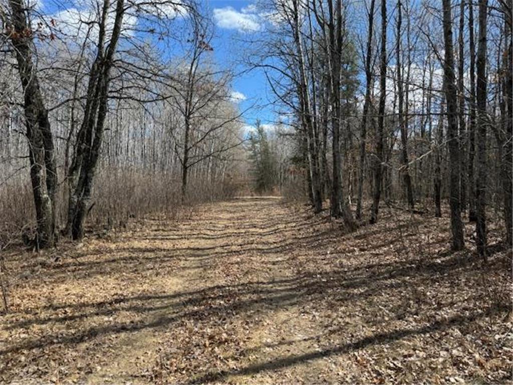 24051 324th Street Sebeka MN 56477 - Crow Wing River 6520058 image18