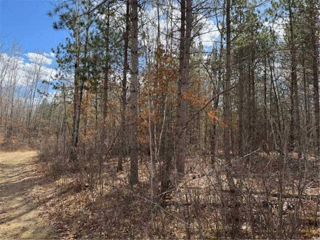 24051 324th Street Sebeka MN 56477 - Crow Wing River 6520058 image19