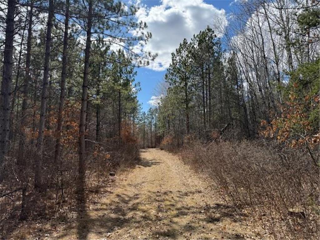 24051 324th Street Sebeka MN 56477 - Crow Wing River 6520058 image20