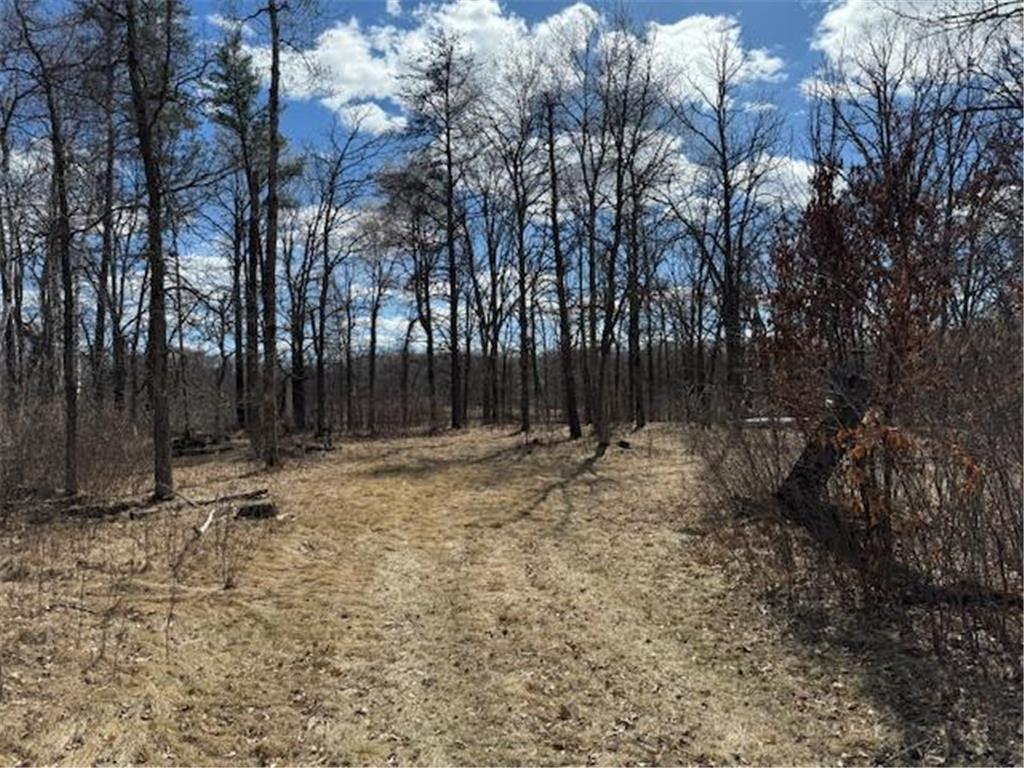 24051 324th Street Sebeka MN 56477 - Crow Wing River 6520058 image21