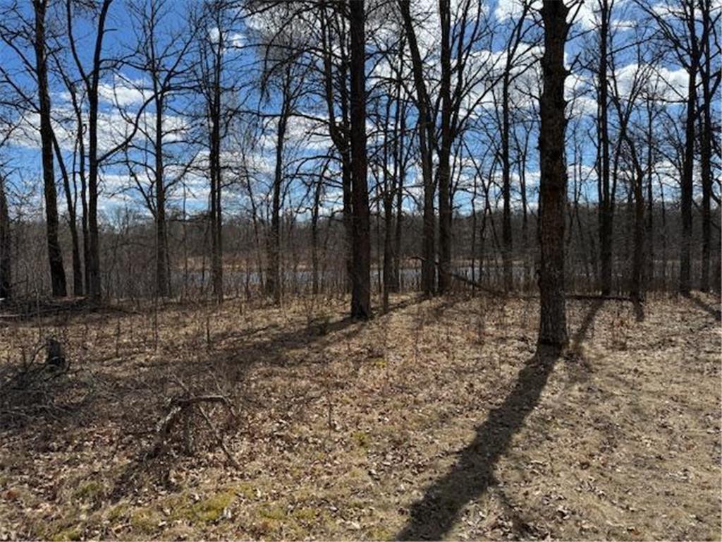 24051 324th Street Sebeka MN 56477 - Crow Wing River 6520058 image22