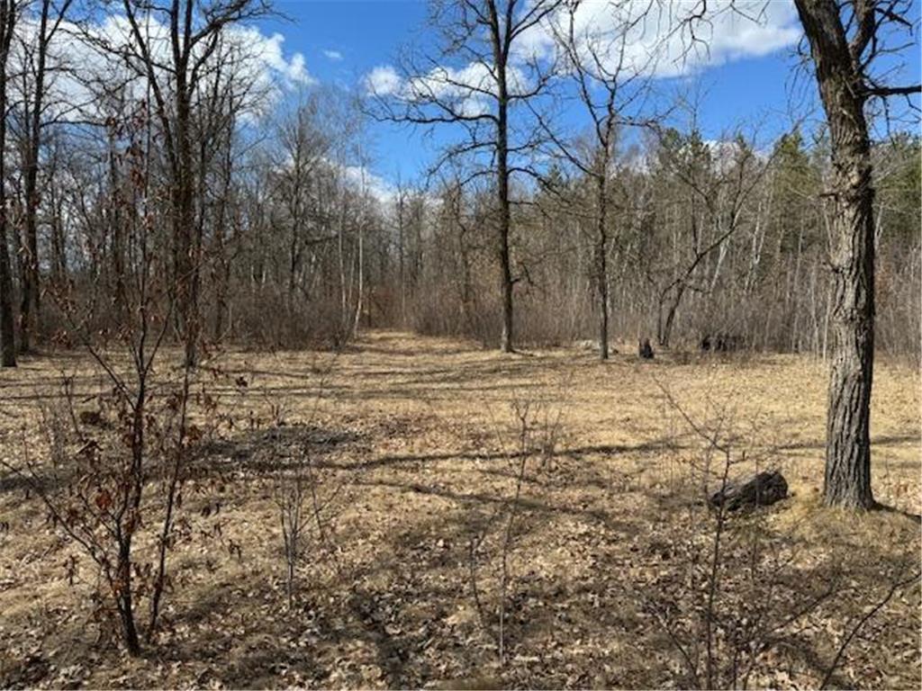 24051 324th Street Sebeka MN 56477 - Crow Wing River 6520058 image24