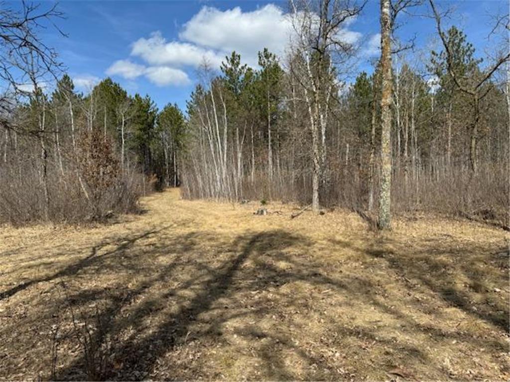 24051 324th Street Sebeka MN 56477 - Crow Wing River 6520058 image25