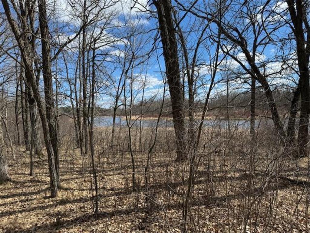 24051 324th Street Sebeka MN 56477 - Crow Wing River 6520058 image29