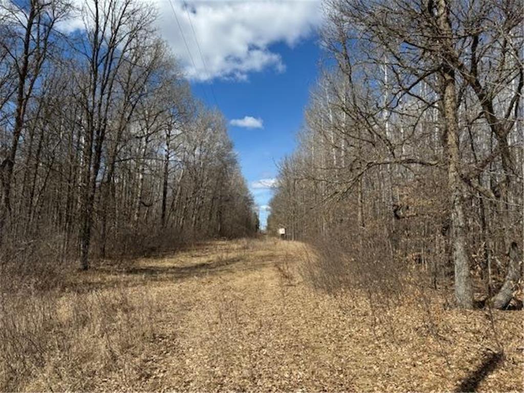 24051 324th Street Sebeka MN 56477 - Crow Wing River 6520058 image32