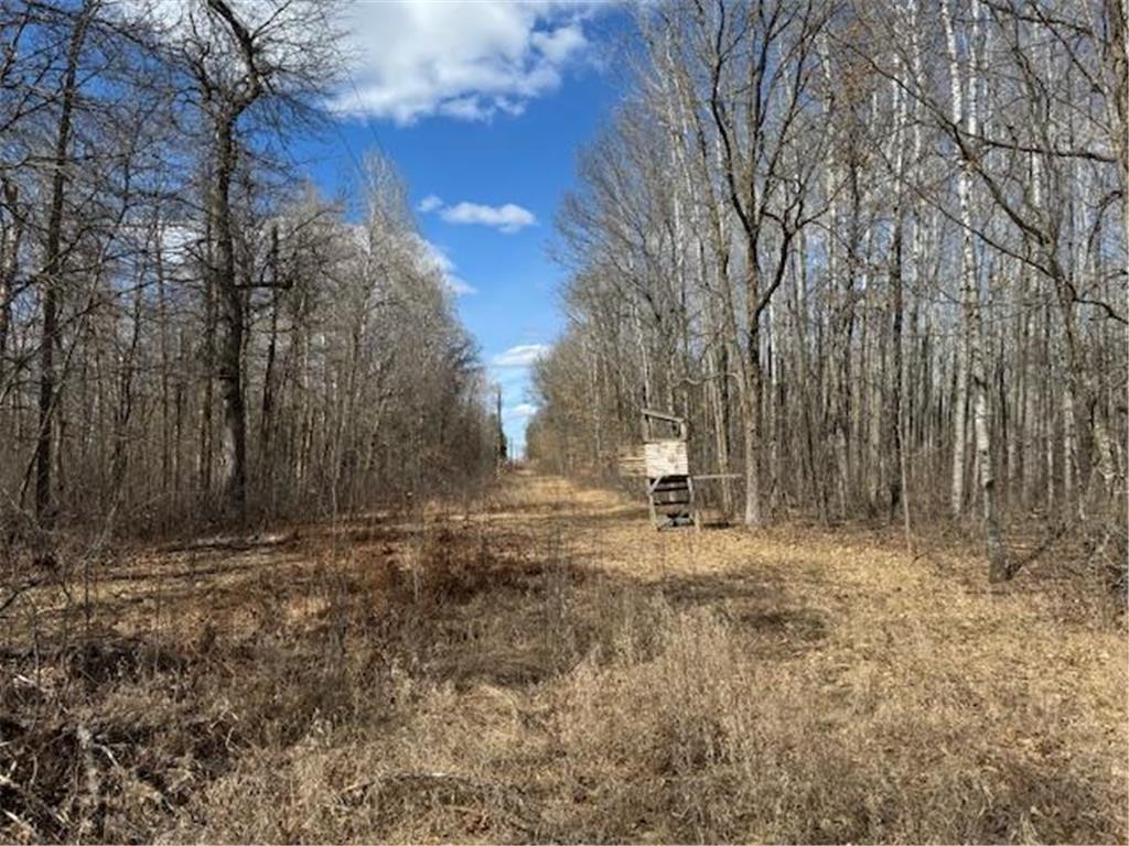 24051 324th Street Sebeka MN 56477 - Crow Wing River 6520058 image33