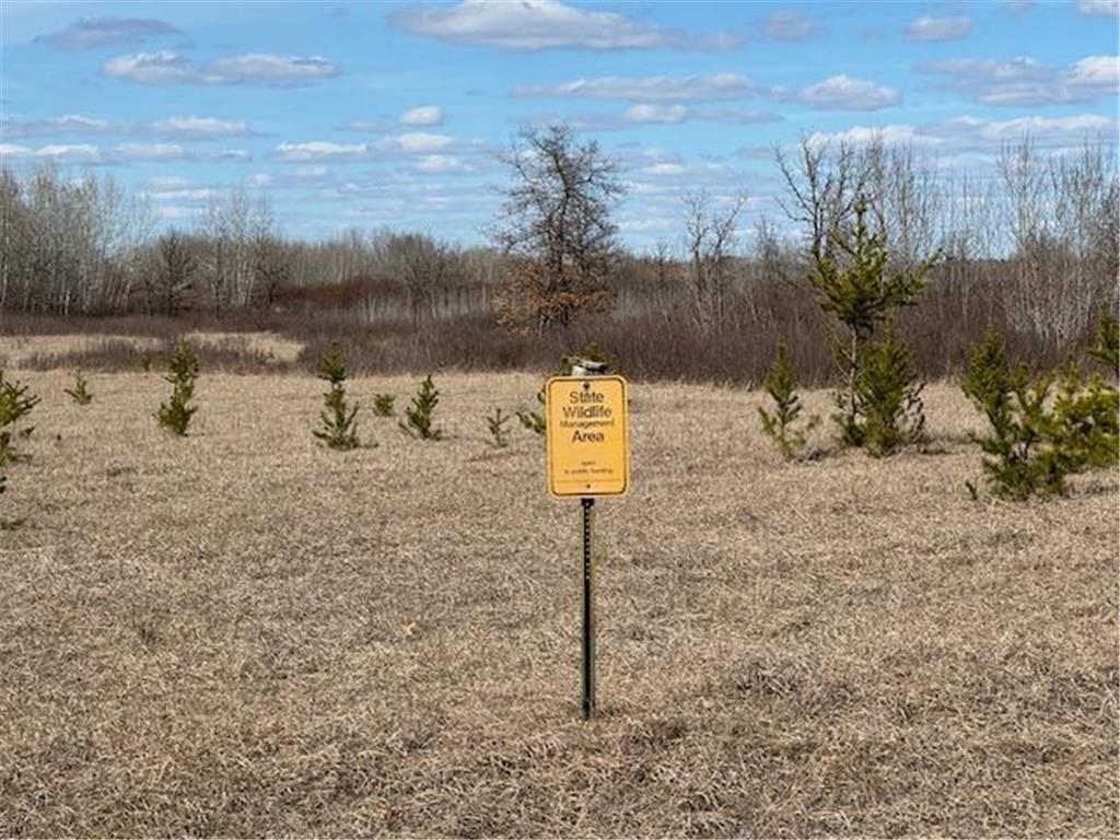 24051 324th Street Sebeka MN 56477 - Crow Wing River 6520058 image38