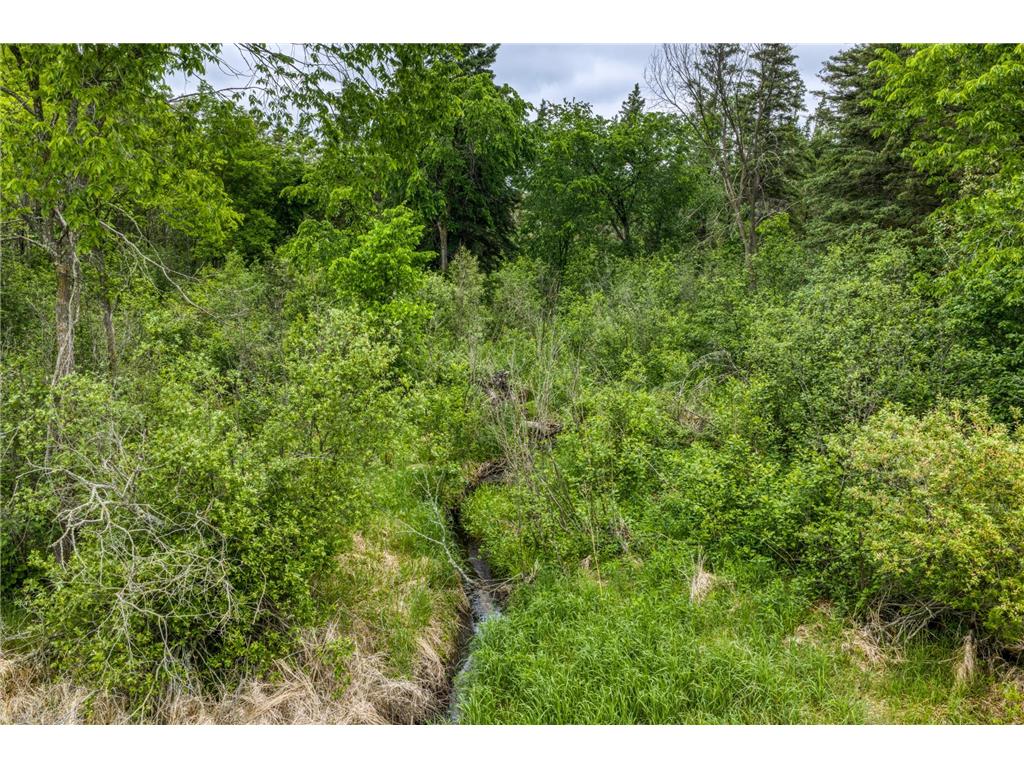 24058 County 2 Bear Creek Twp MN 56676 7069440 image49