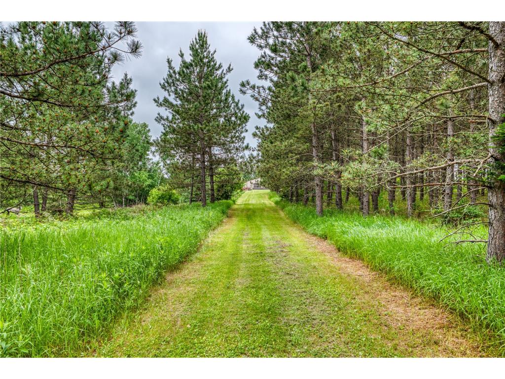 24058 County 2 Bear Creek Twp MN 56676 7069440 image57