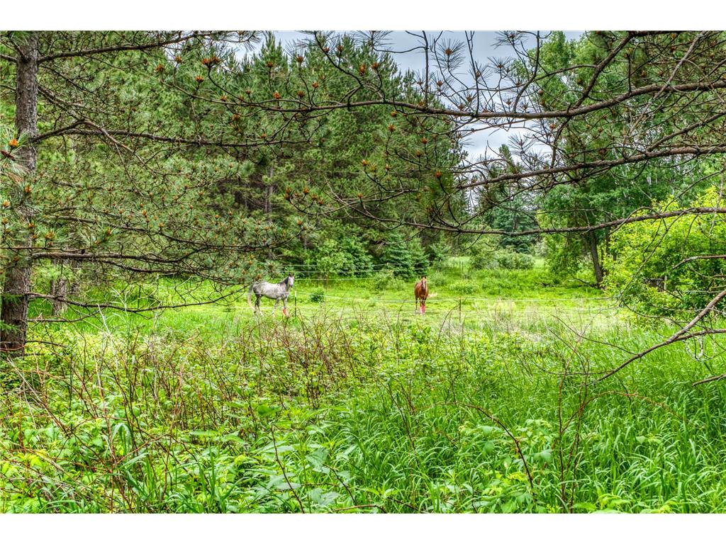24058 County 2 Bear Creek Twp MN 56676 7069440 image59