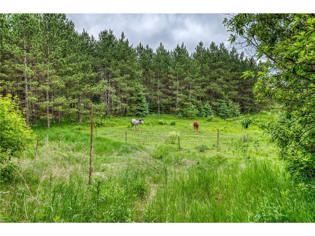 24058 County 2 Bear Creek Twp MN 56676 7069440 image60