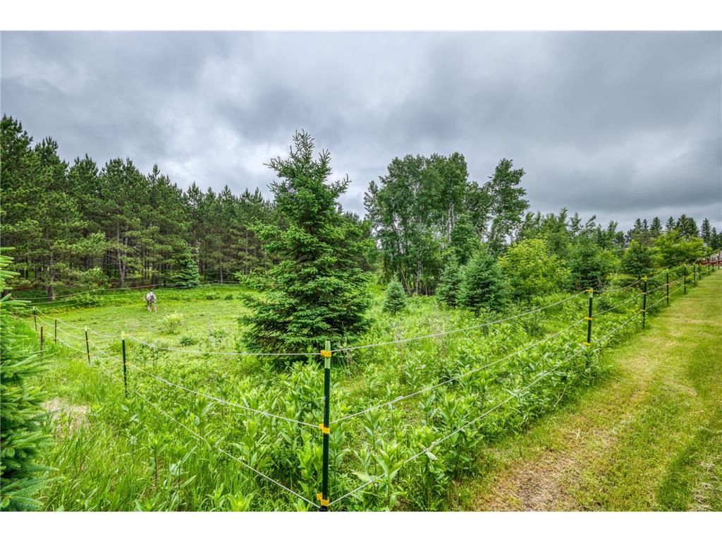 24058 County 2 Bear Creek Twp MN 56676 7069440 image61