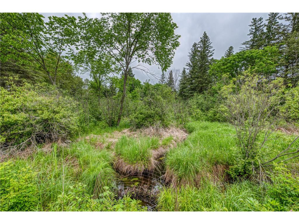 24058 County 2 Bear Creek Twp MN 56676 7069440 image89