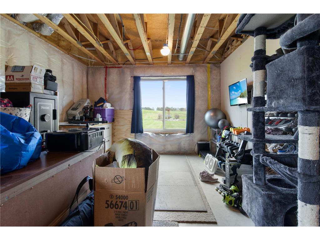24065 Leo Street NE Linwood Twp MN 55079 7063340 image22