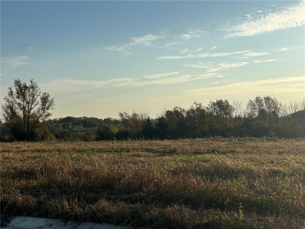 241 6th Street SE Dover MN 55929 6797870 image2