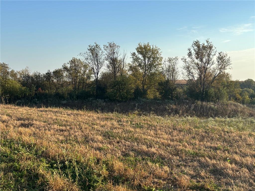 241 6th Street SE Dover MN 55929 6797870 image5