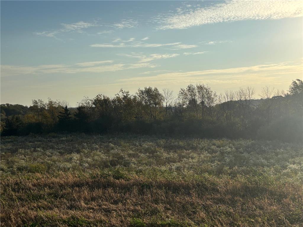 241 6th Street SE Dover MN 55929 7062566 image4