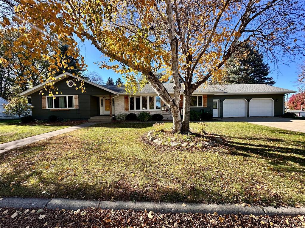 241 Maple Street N Balaton MN 56115 6808564 image1