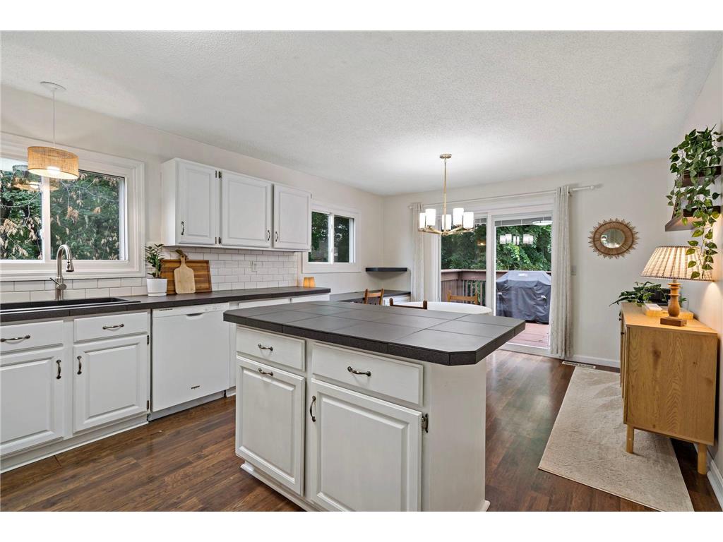 241 River Woods Lane Burnsville MN 55337 7086337 image11