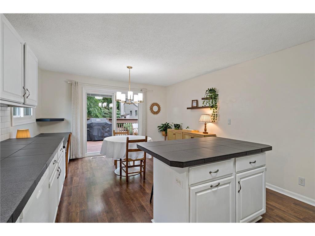241 River Woods Lane Burnsville MN 55337 7086337 image12