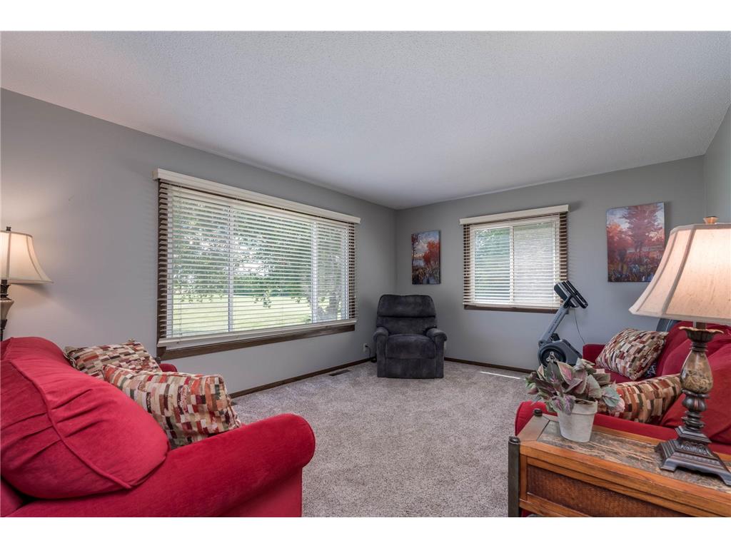 24100 577th Lane Lime Twp MN 56001 7093608 image13