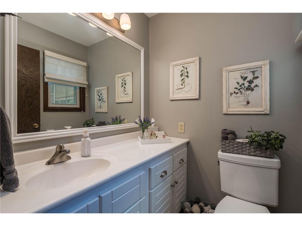 24100 577th Lane Lime Twp MN 56001 7093608 image18