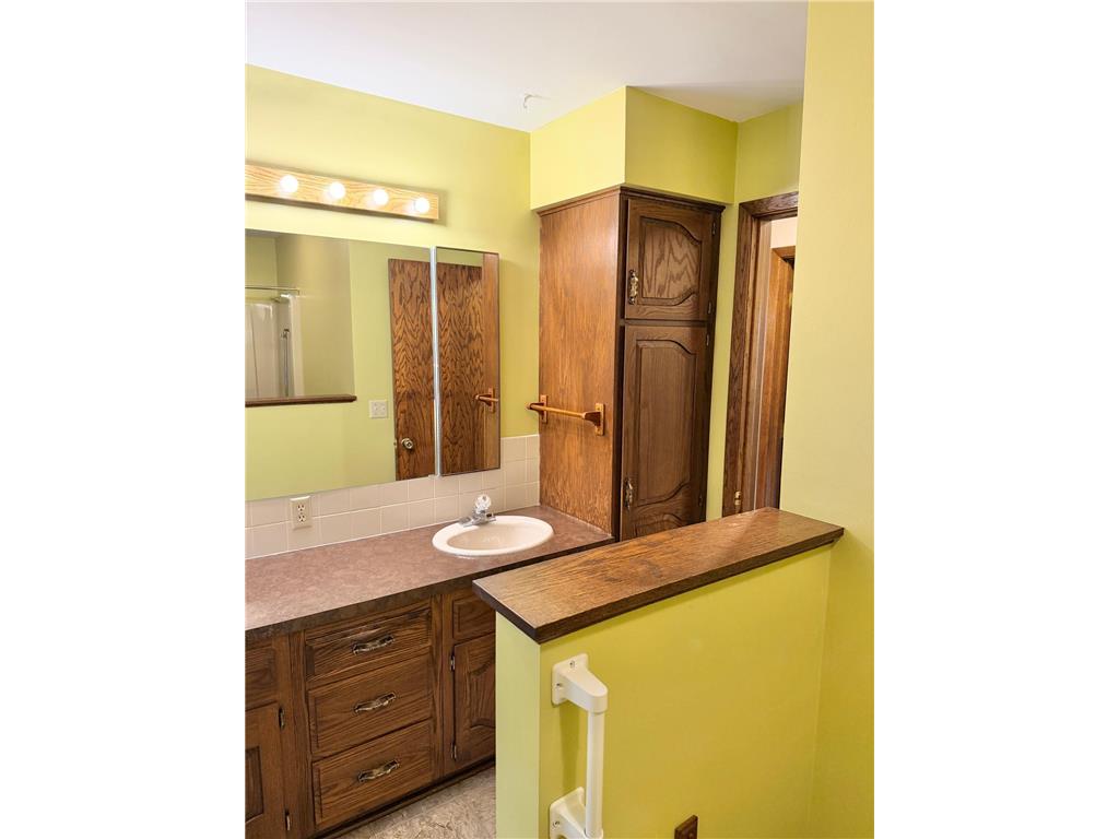 24106 Walnut Drive Bancroft Twp MN 56007 7078612 image26